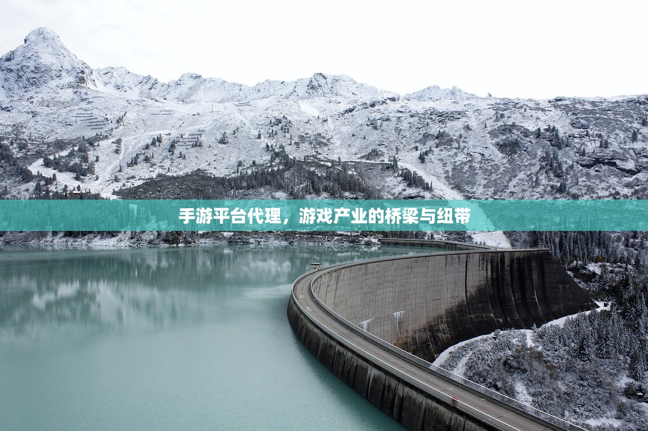 手游平台代理，游戏产业的桥梁与纽带