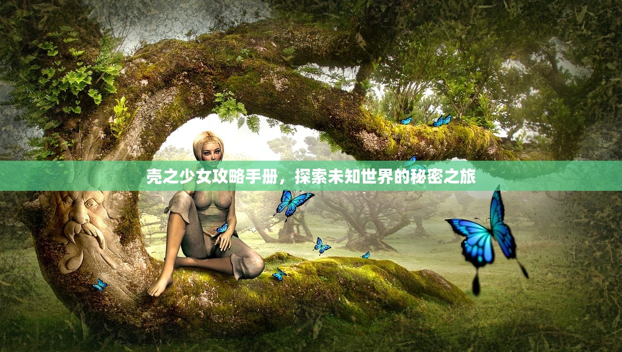 壳之少女攻略手册，探索未知世界的秘密之旅