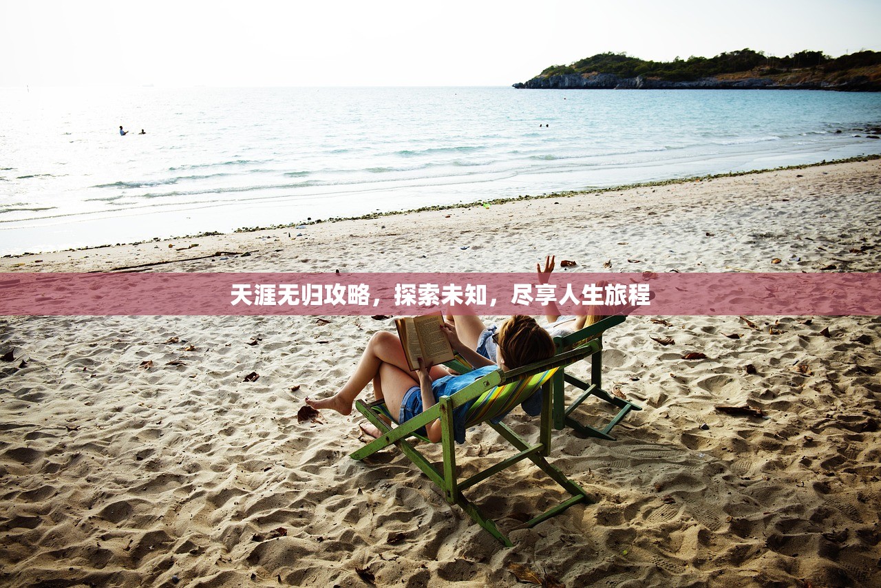 天涯无归攻略，探索未知，尽享人生旅程