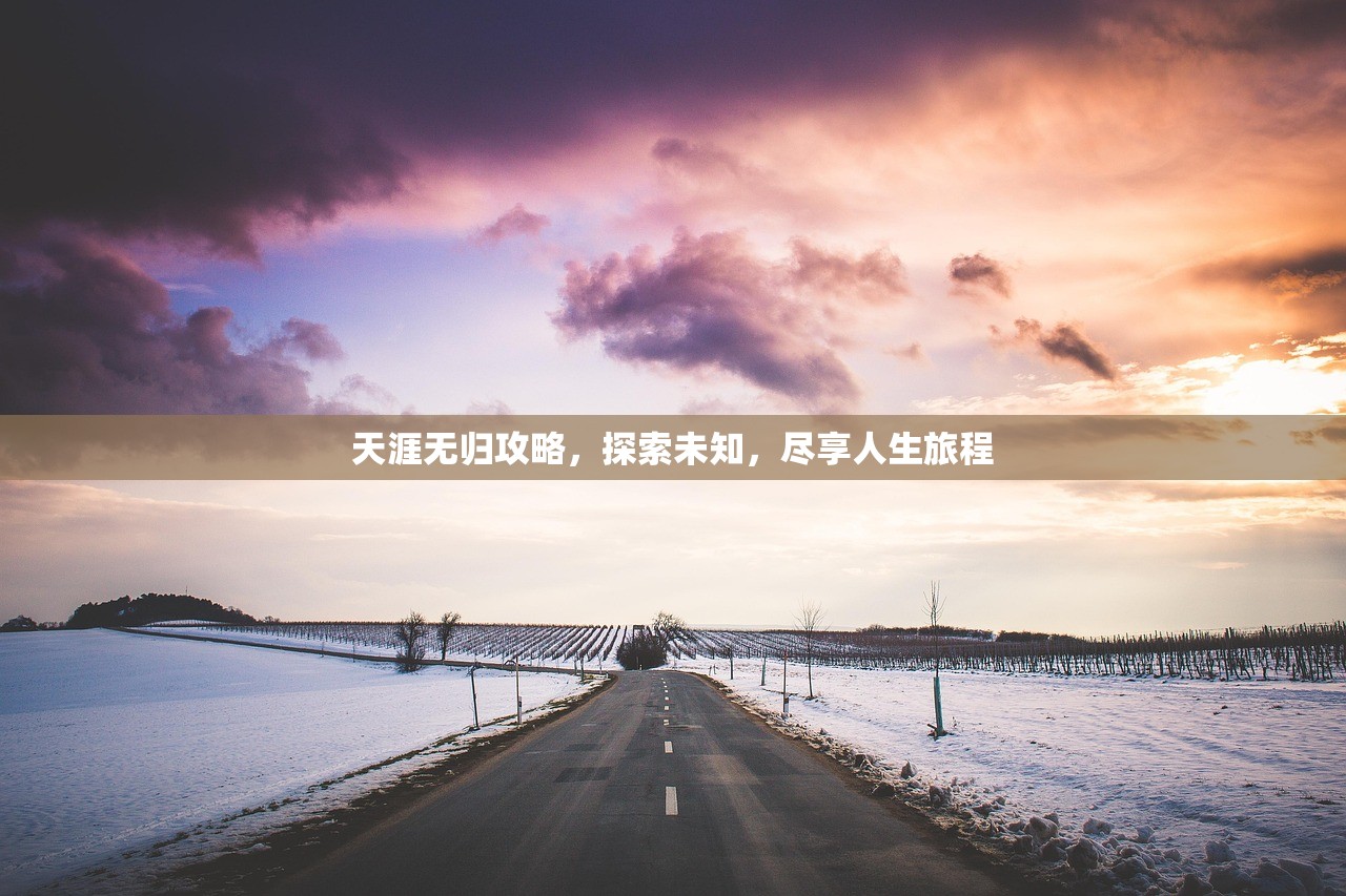 天涯无归攻略，探索未知，尽享人生旅程