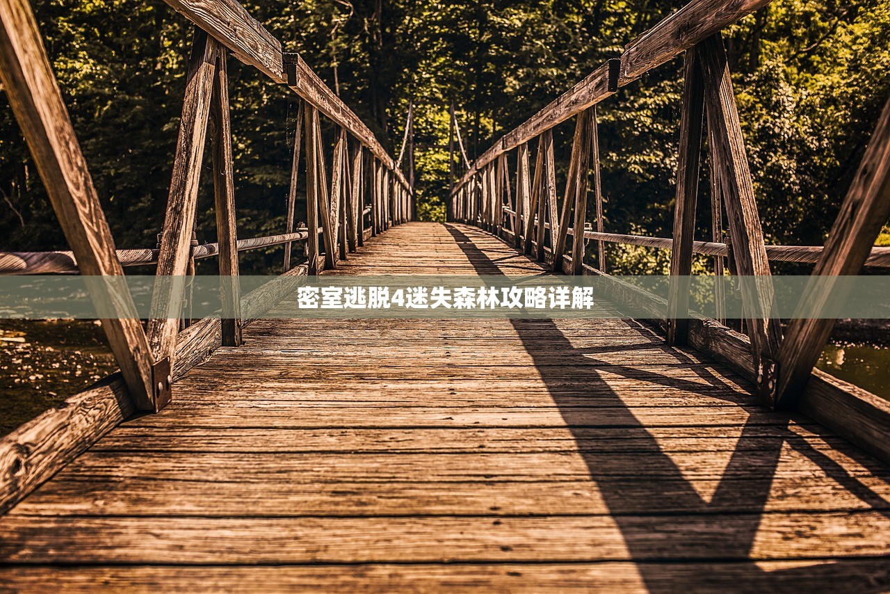 密室逃脱4迷失森林攻略详解