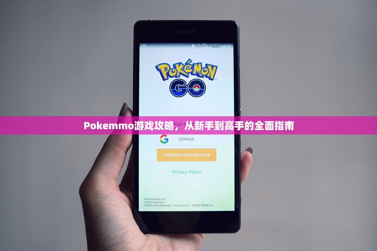 Pokemmo游戏攻略，从新手到高手的全面指南