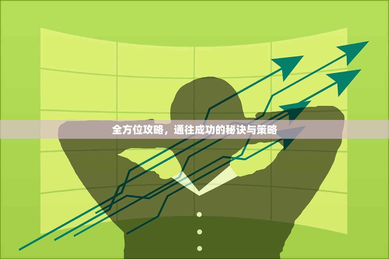 全方位攻略，通往成功的秘诀与策略
