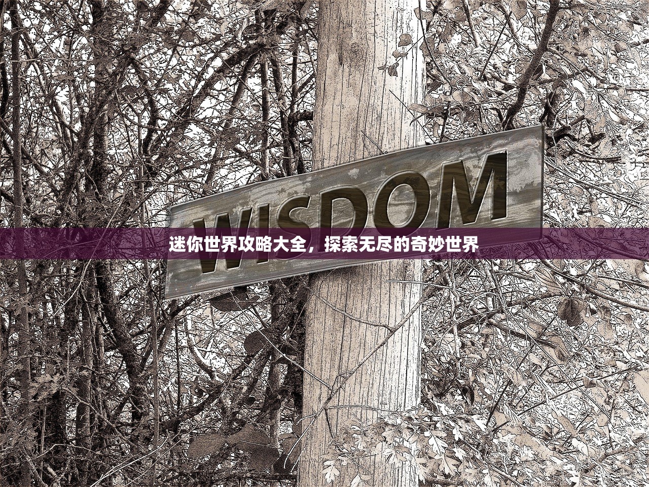 迷你世界攻略大全，探索无尽的奇妙世界