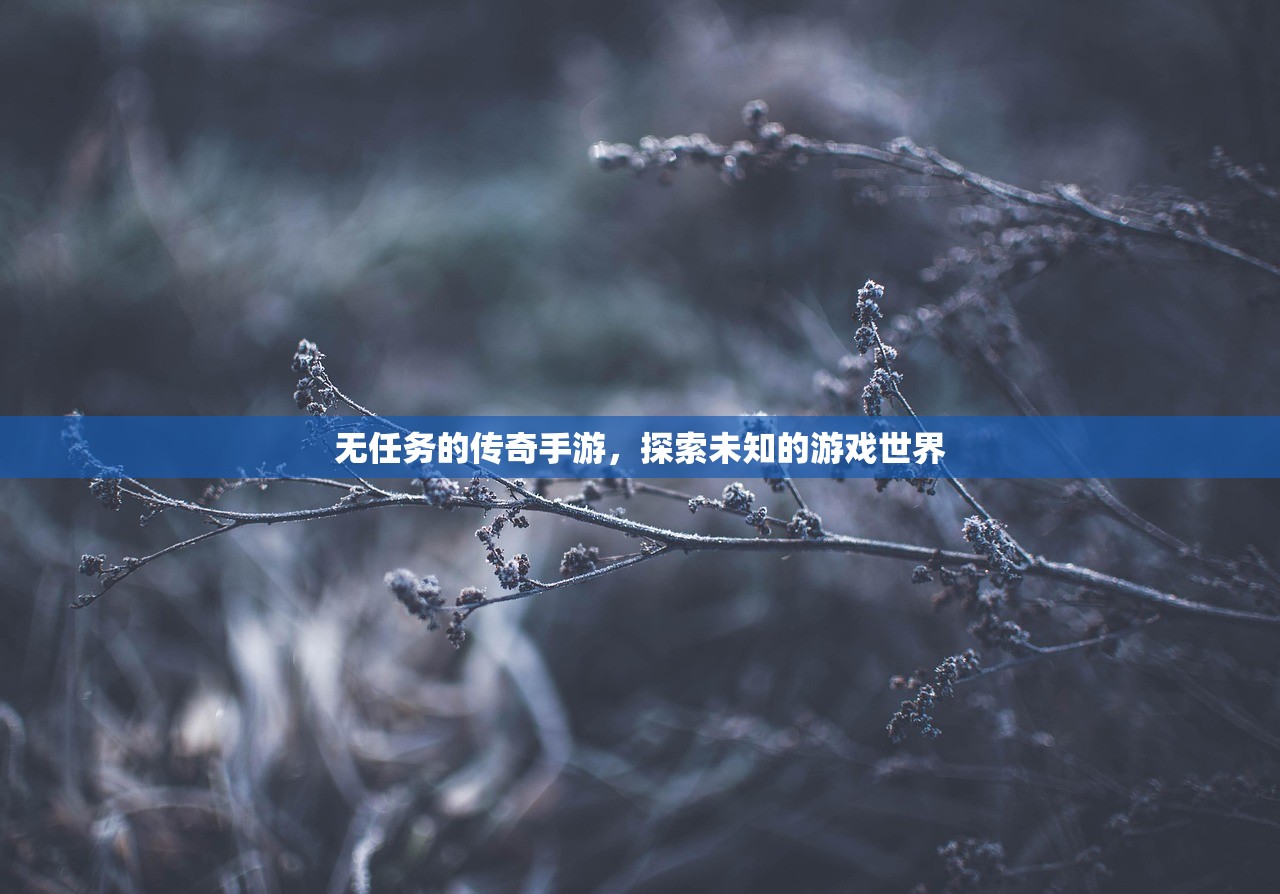 无任务的传奇手游，探索未知的游戏世界