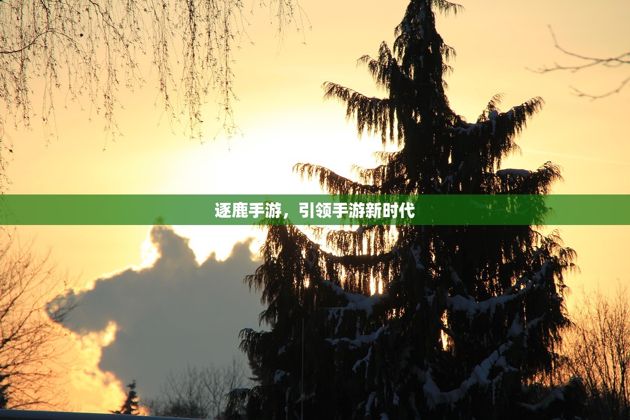 逐鹿手游，引领手游新时代