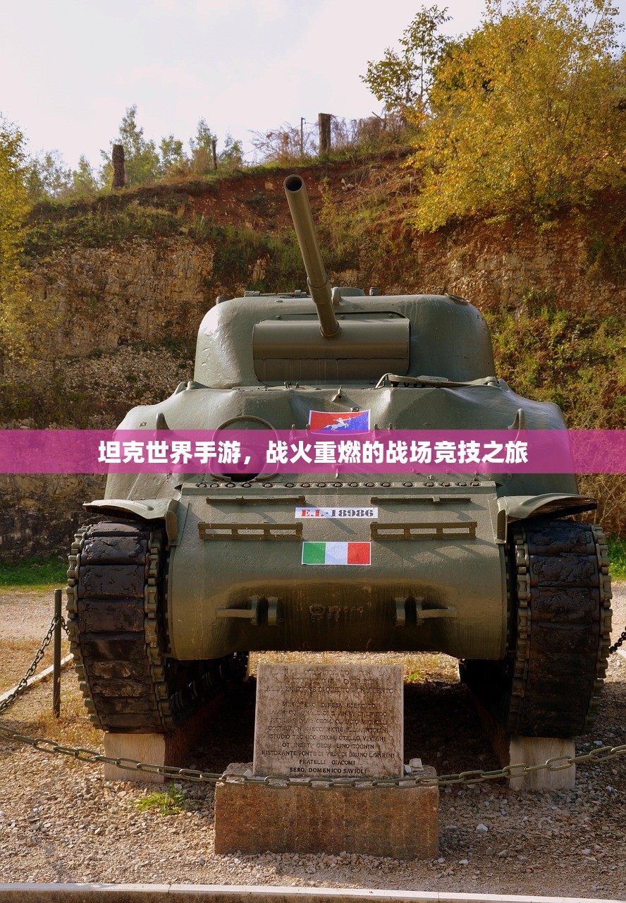 坦克世界手游，战火重燃的战场竞技之旅