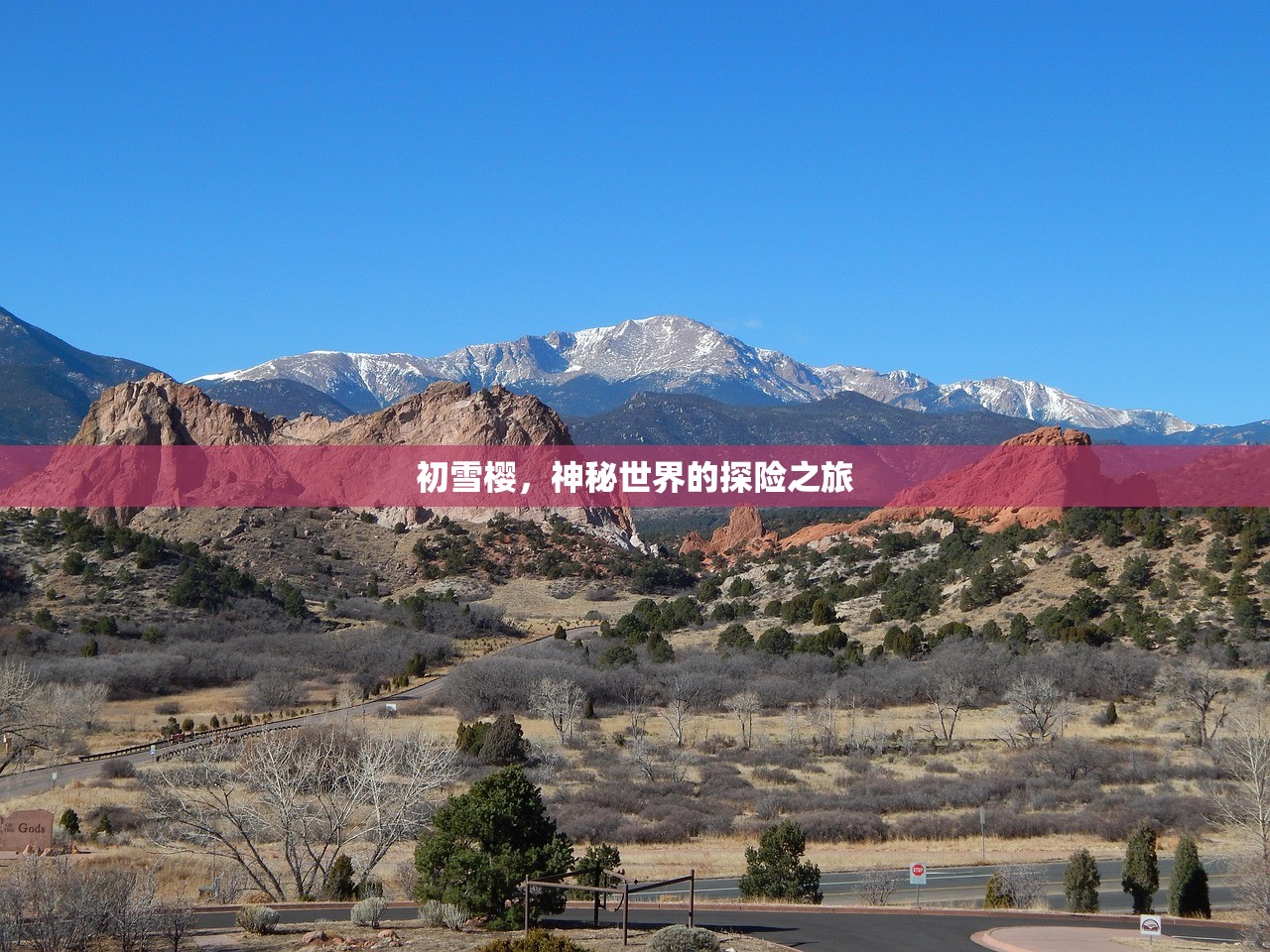 初雪樱，神秘世界的探险之旅