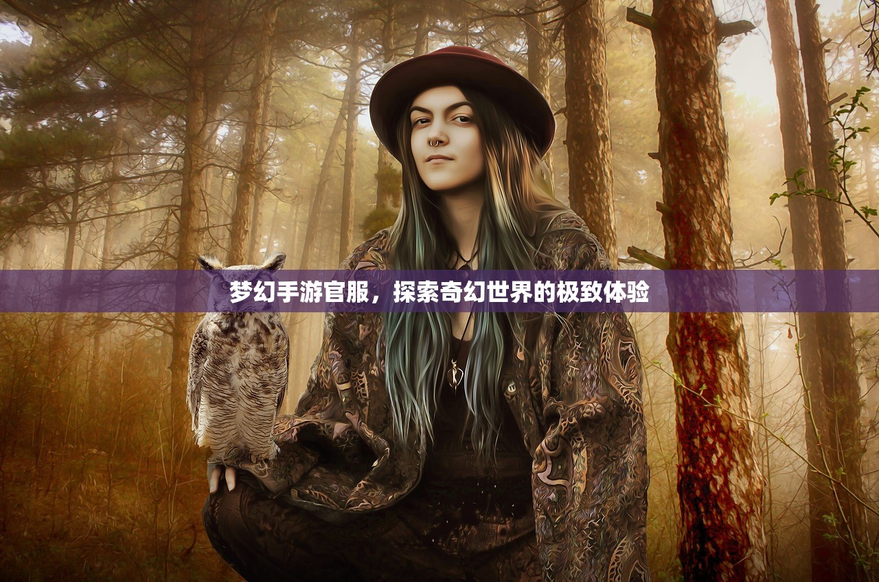 梦幻手游官服，探索奇幻世界的极致体验
