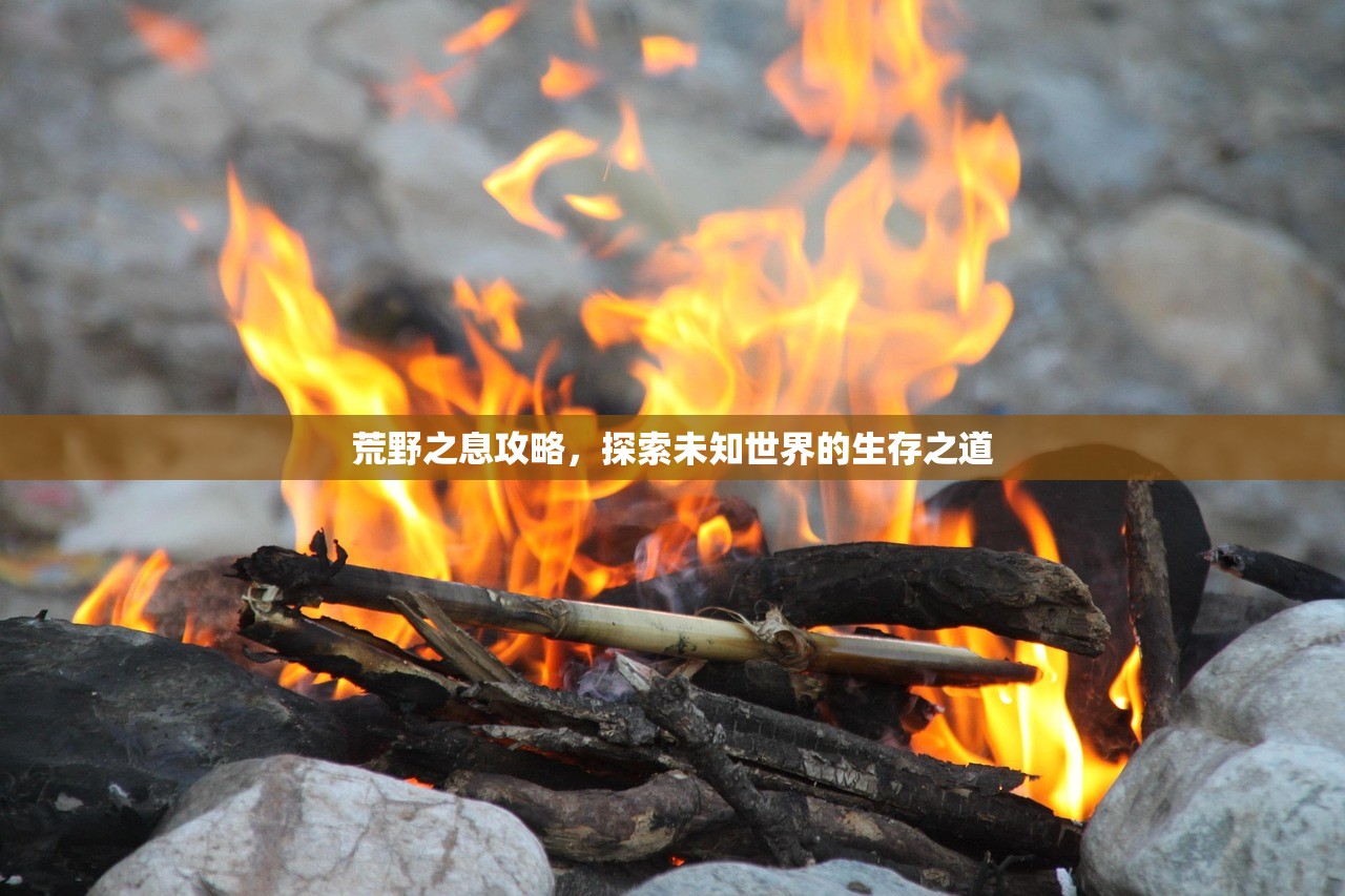 荒野之息攻略，探索未知世界的生存之道