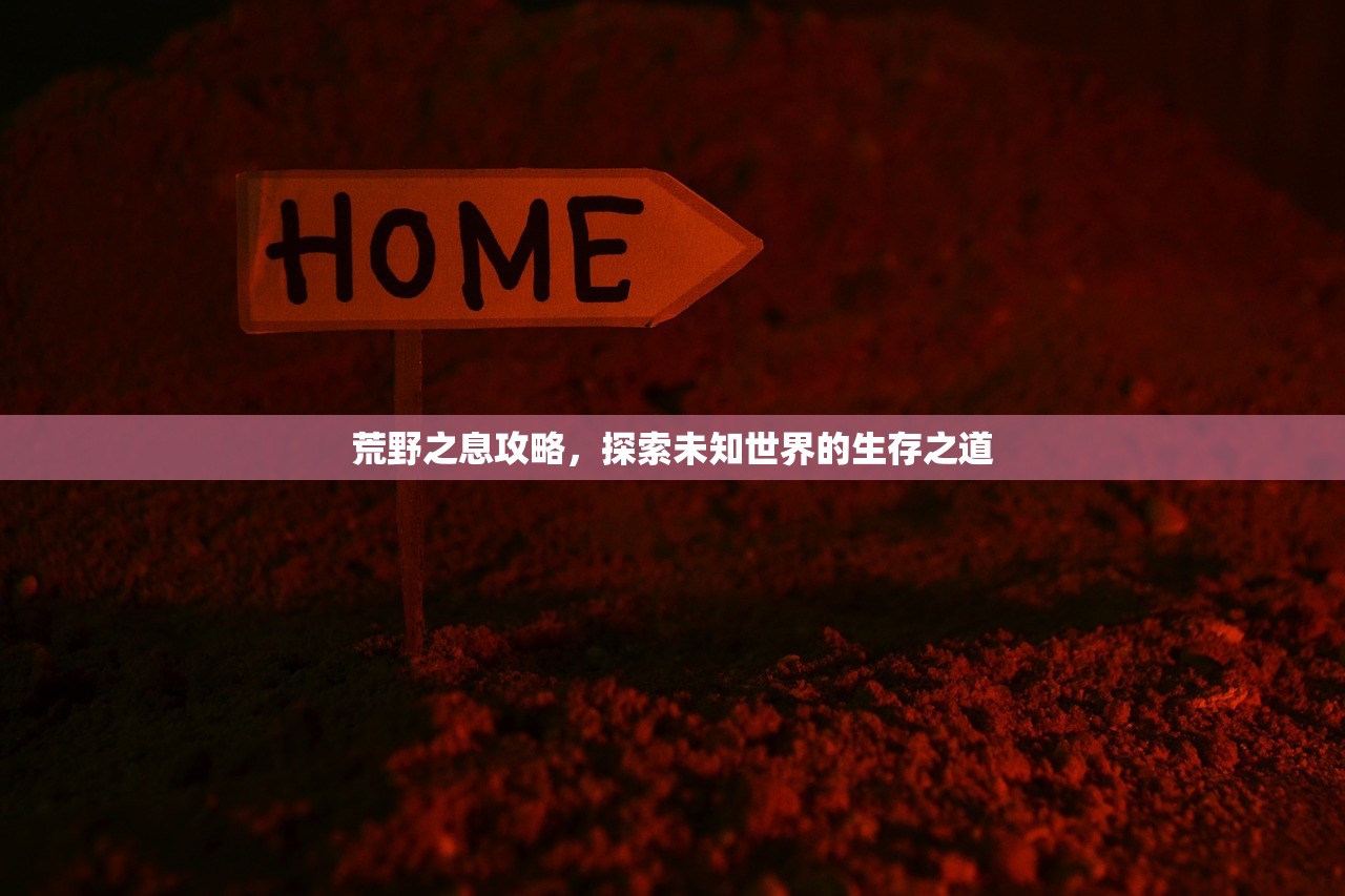 荒野之息攻略，探索未知世界的生存之道