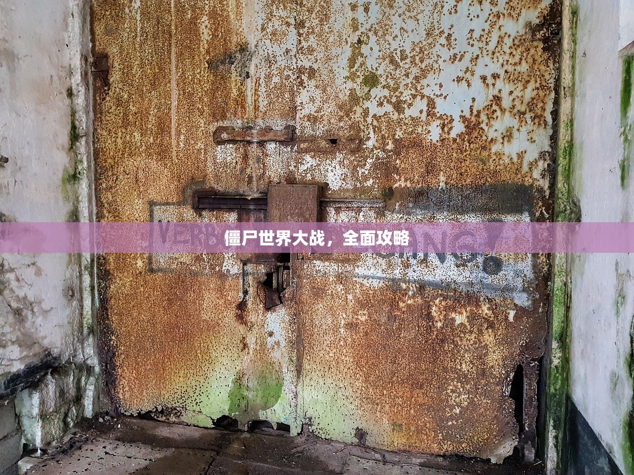 僵尸世界大战，全面攻略