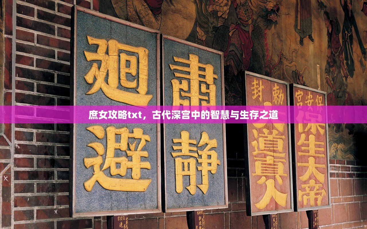 庶女攻略txt，古代深宫中的智慧与生存之道