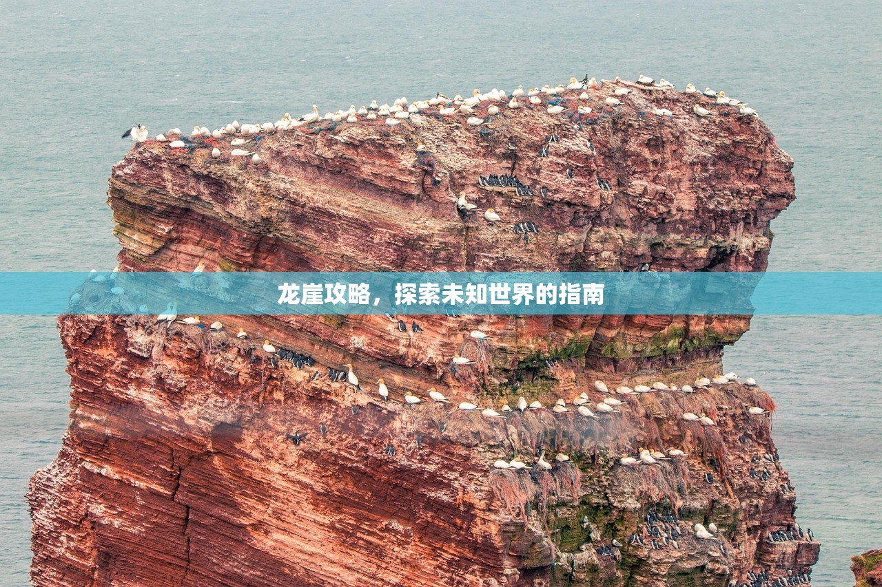 龙崖攻略，探索未知世界的指南