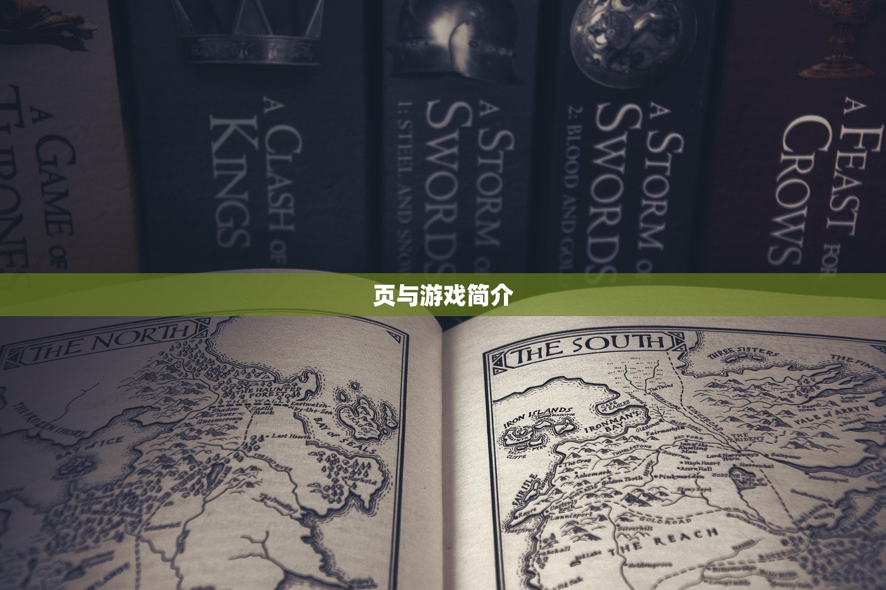 页与游戏简介