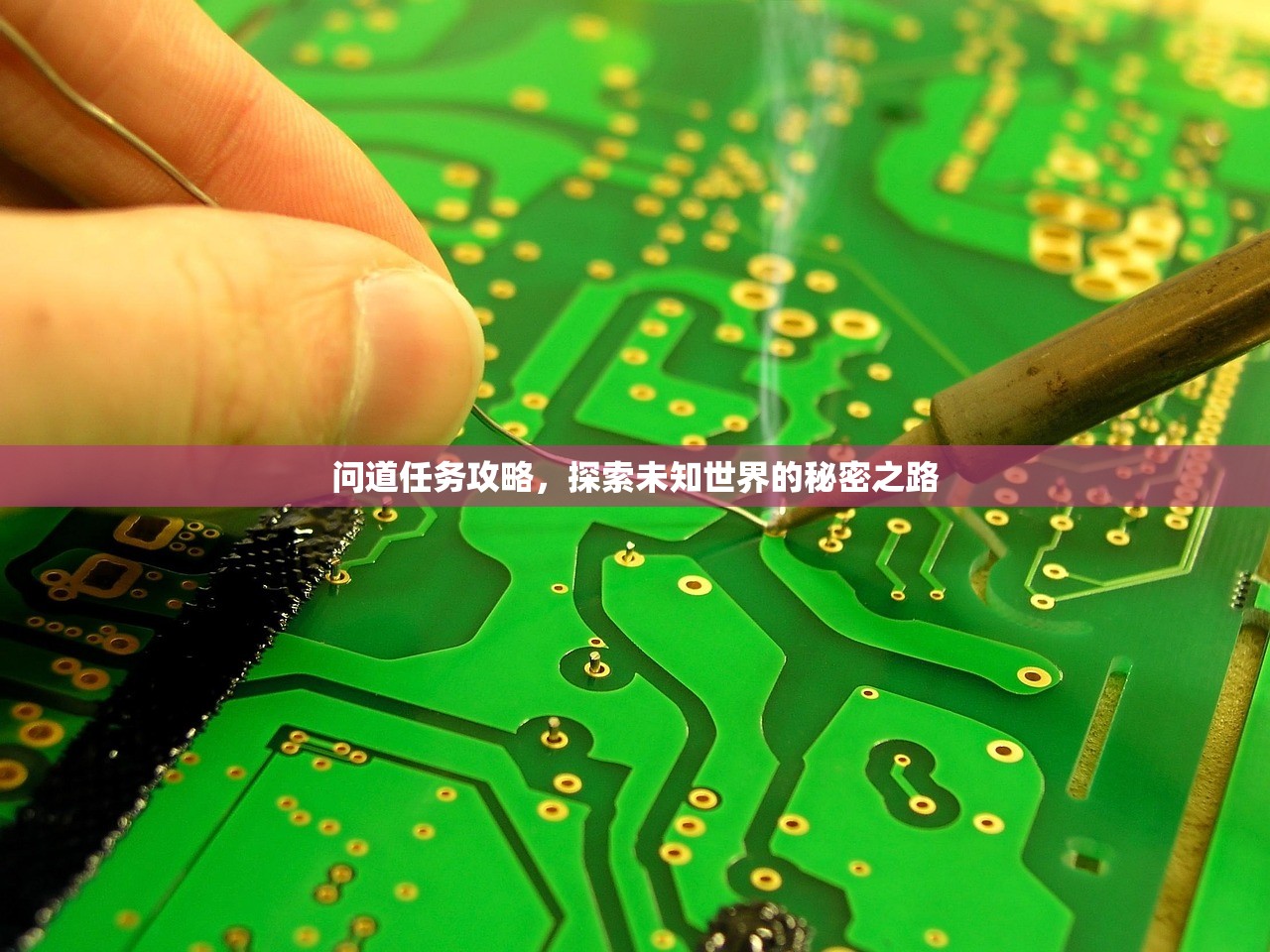 问道任务攻略，探索未知世界的秘密之路