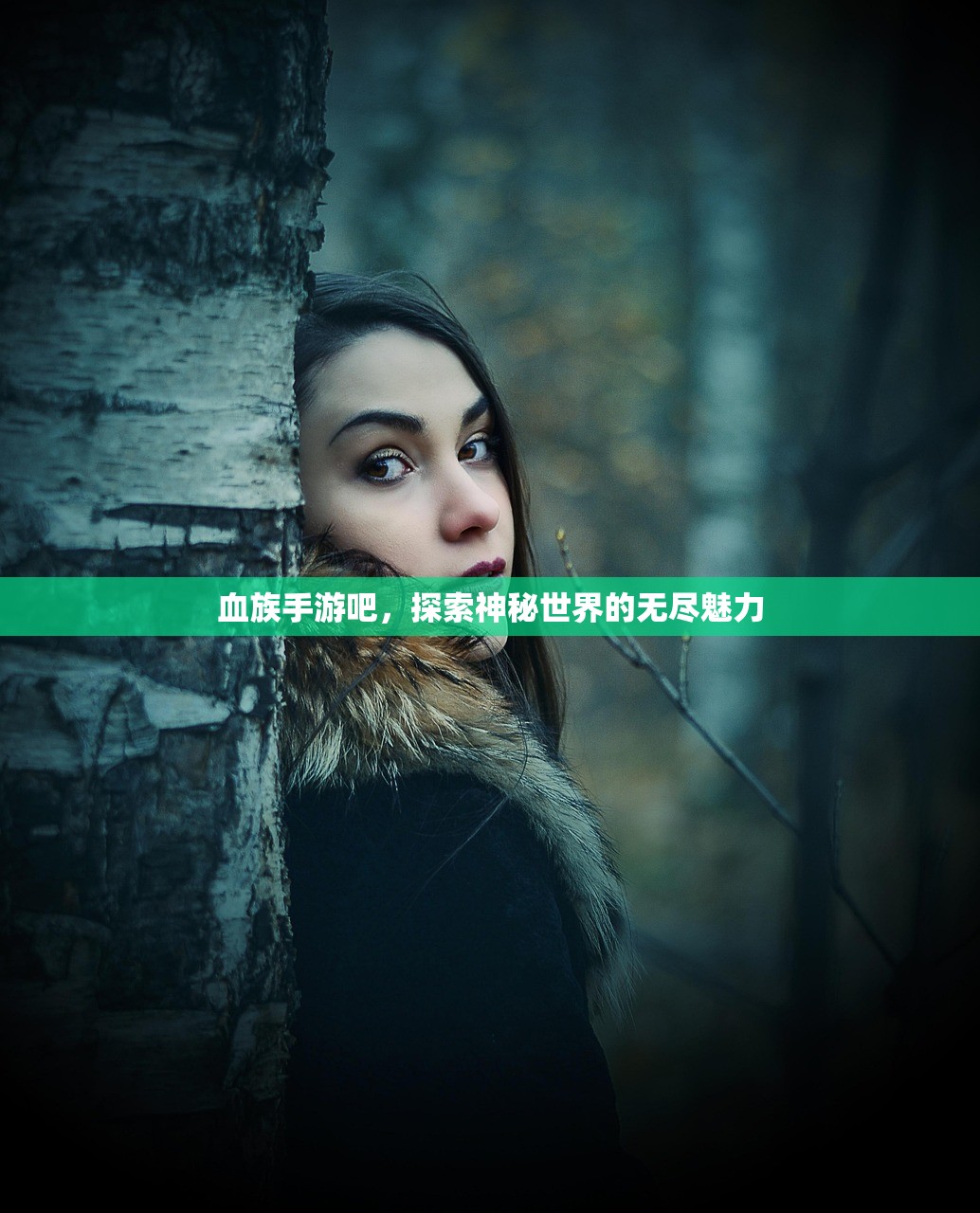血族手游吧，探索神秘世界的无尽魅力