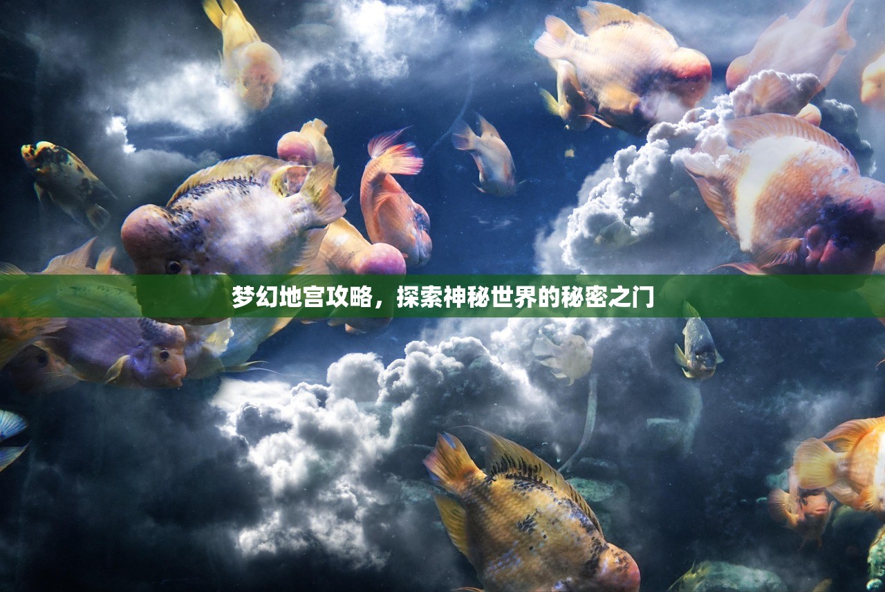 梦幻地宫攻略，探索神秘世界的秘密之门