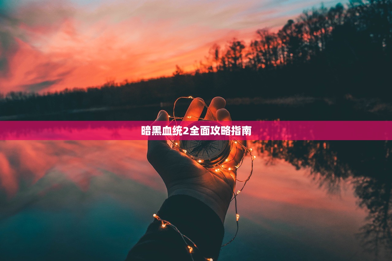 暗黑血统2全面攻略指南