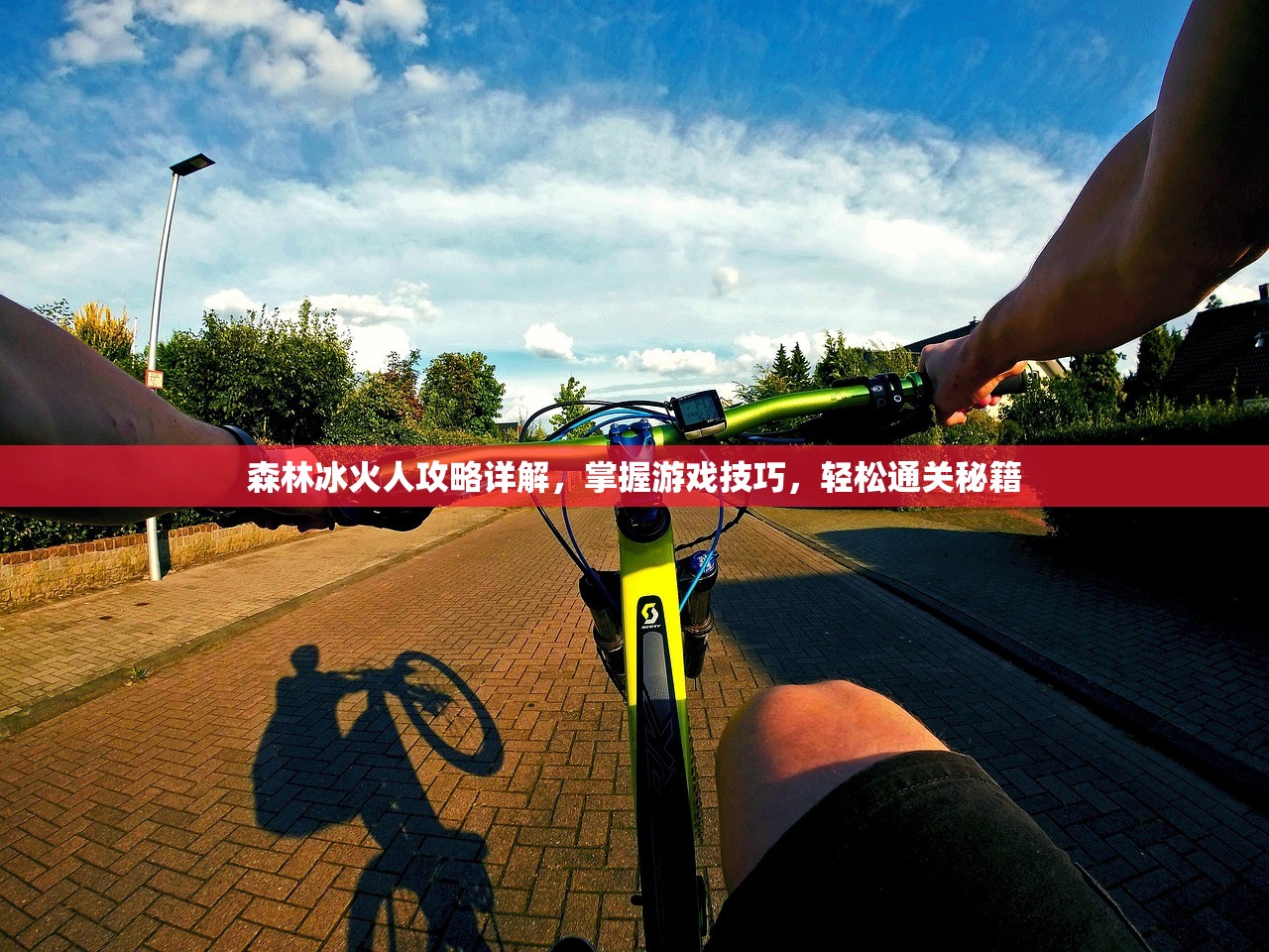 森林冰火人攻略详解，掌握游戏技巧，轻松通关秘籍