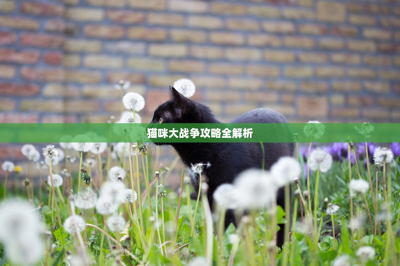 猫咪大战争攻略全解析