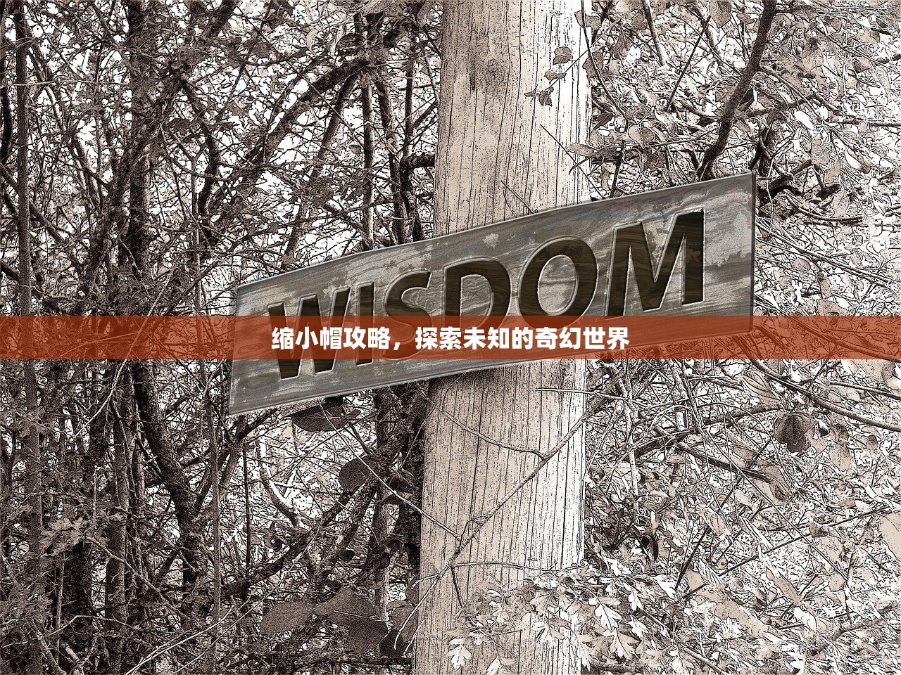 缩小帽攻略，探索未知的奇幻世界