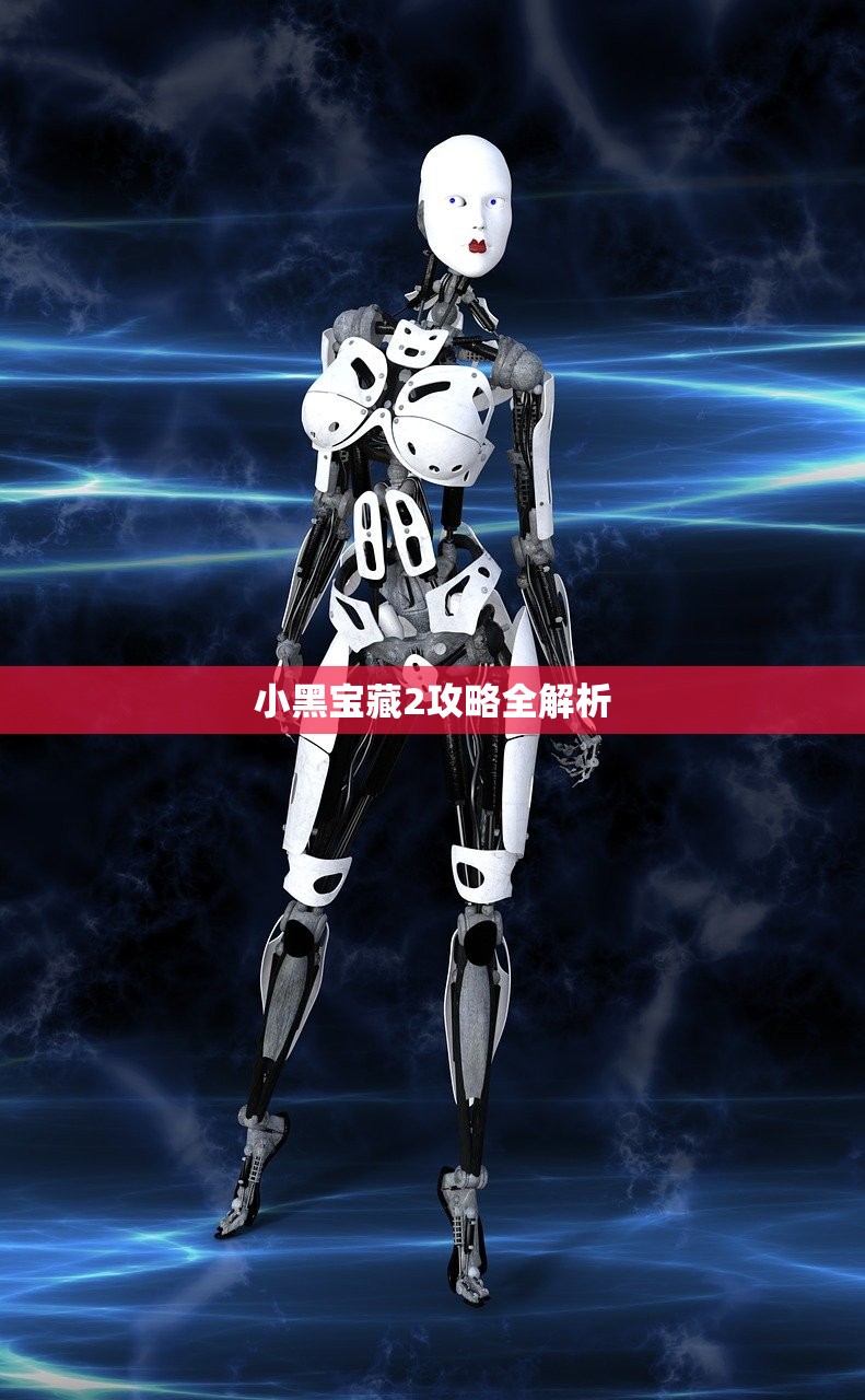 小黑宝藏2攻略全解析