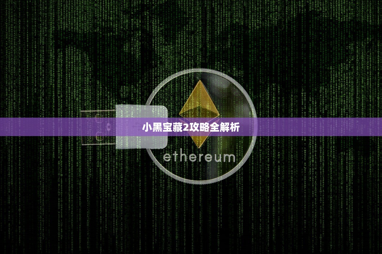 小黑宝藏2攻略全解析