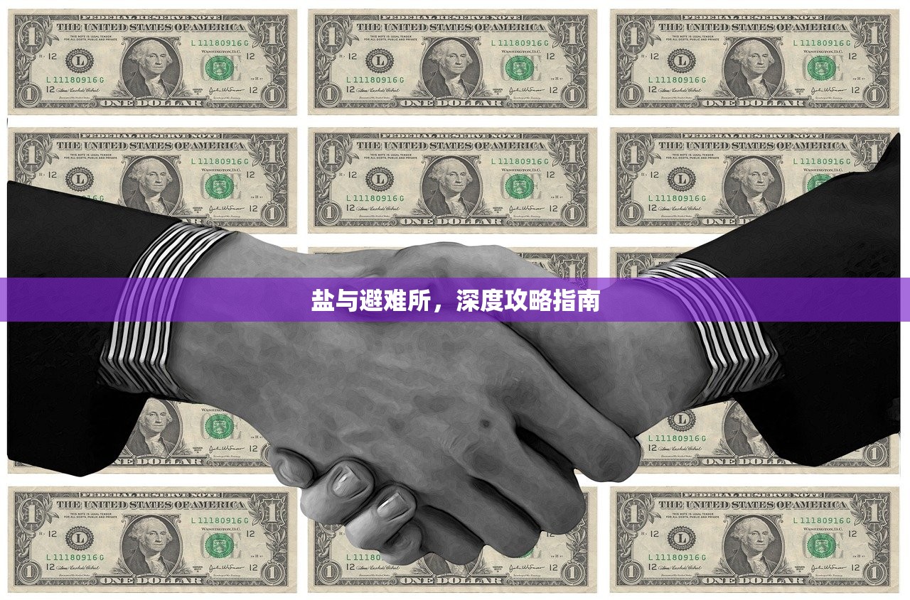 盐与避难所，深度攻略指南
