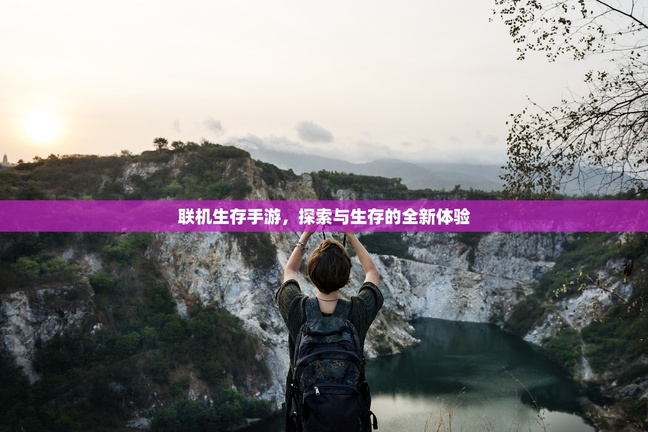 联机生存手游，探索与生存的全新体验