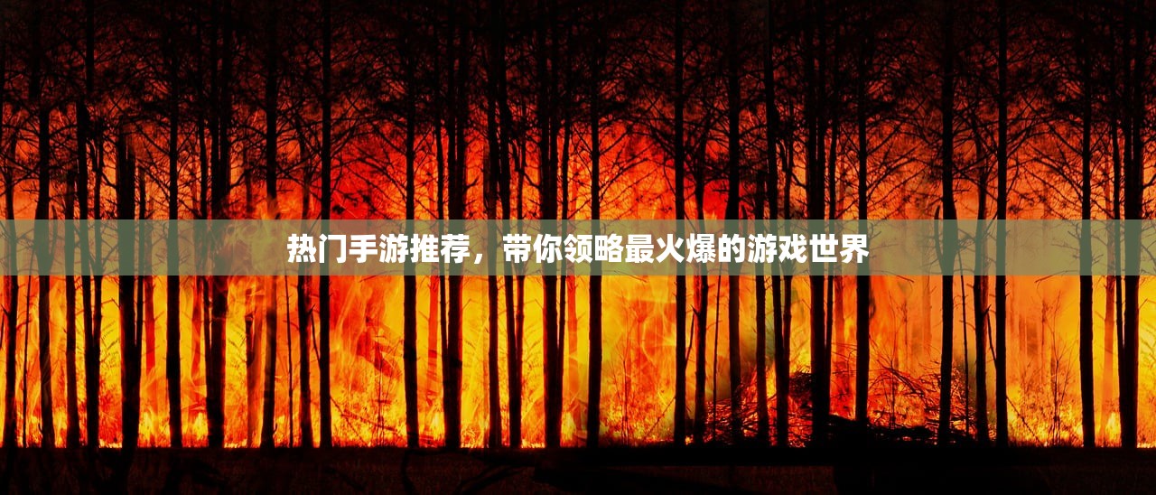 热门手游推荐，带你领略最火爆的游戏世界