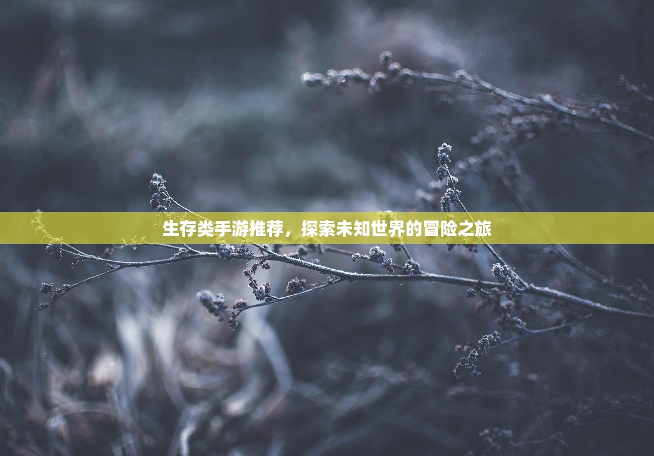 生存类手游推荐，探索未知世界的冒险之旅