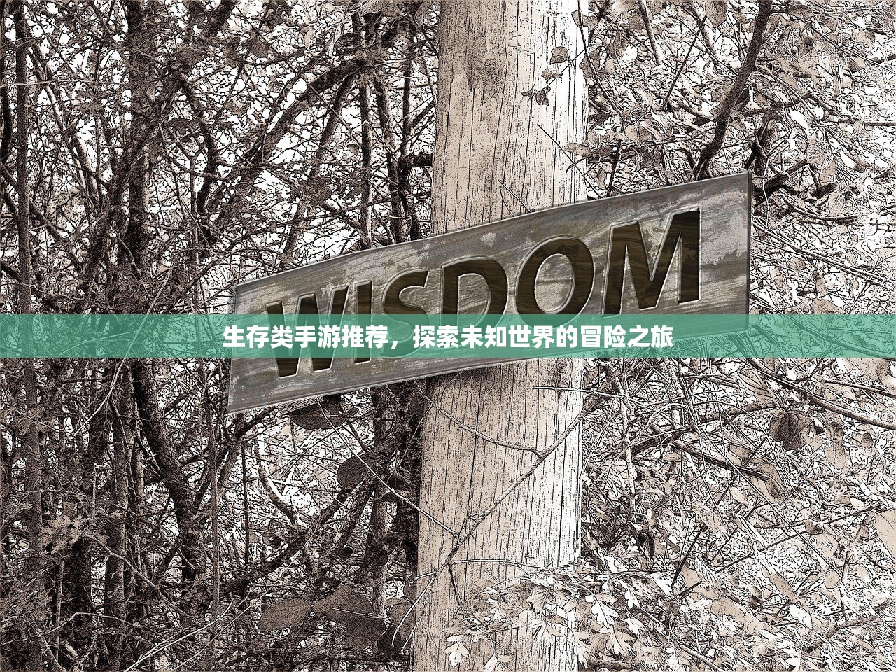 生存类手游推荐，探索未知世界的冒险之旅