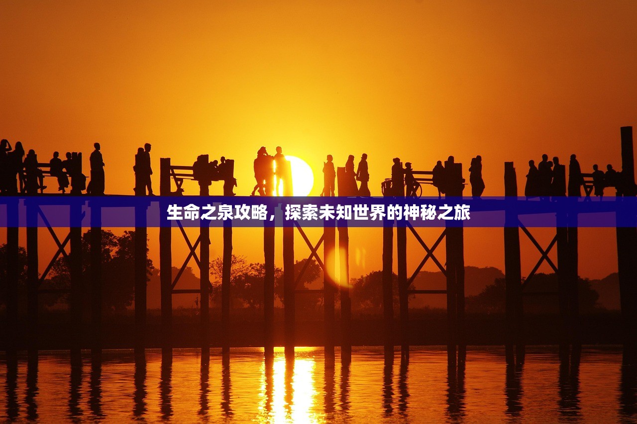 生命之泉攻略，探索未知世界的神秘之旅