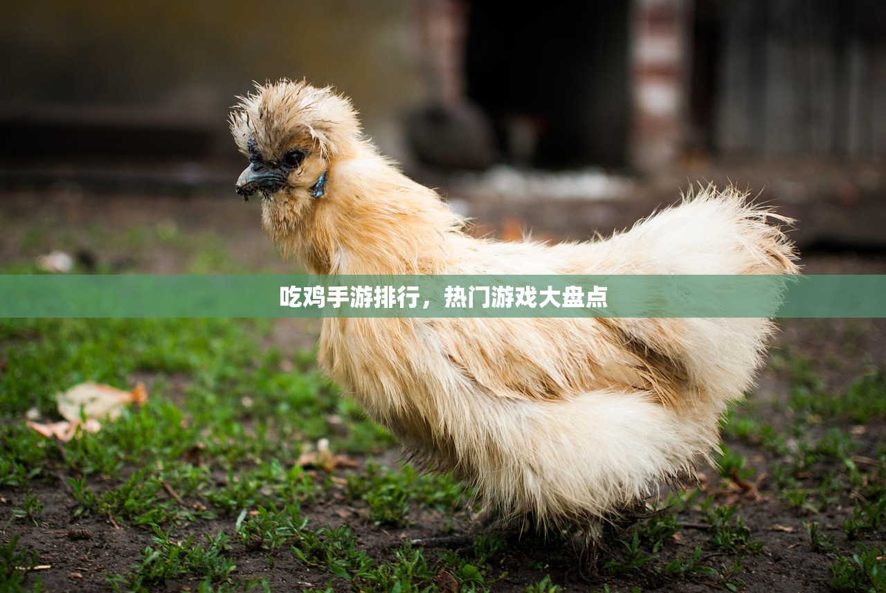 吃鸡手游排行，热门游戏大盘点