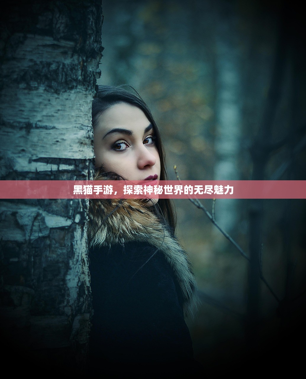 黑猫手游，探索神秘世界的无尽魅力