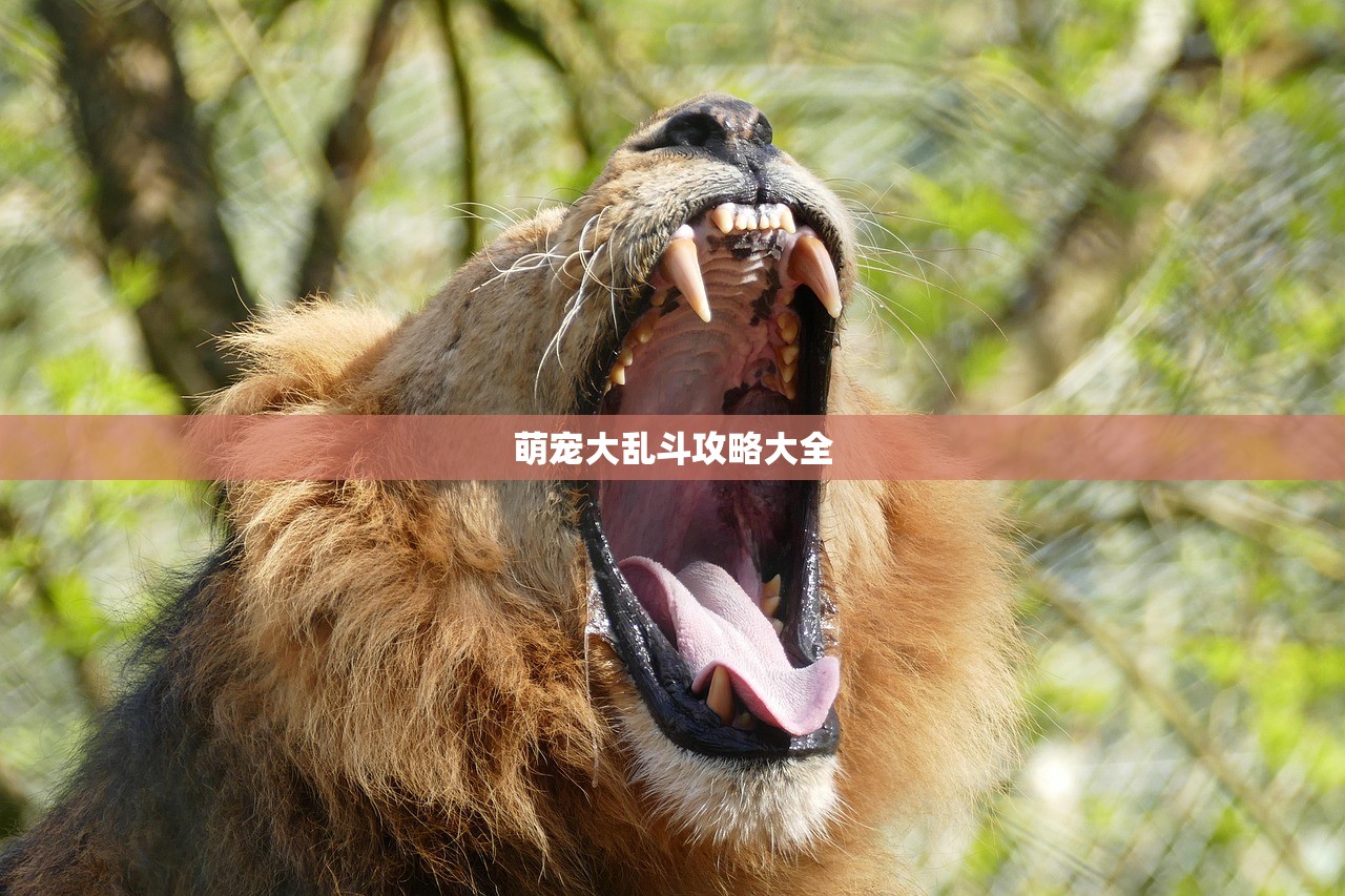 萌宠大乱斗攻略大全