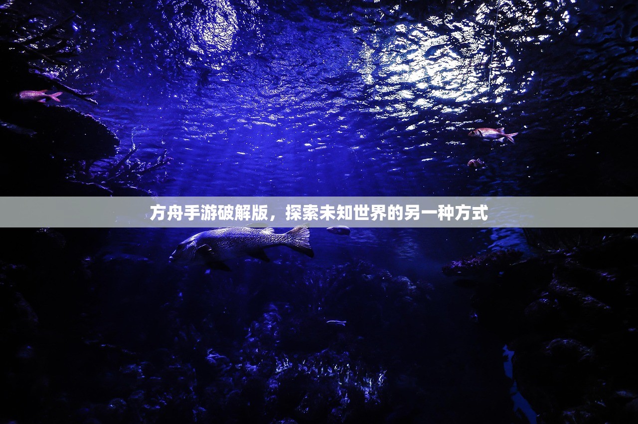 方舟手游破解版，探索未知世界的另一种方式