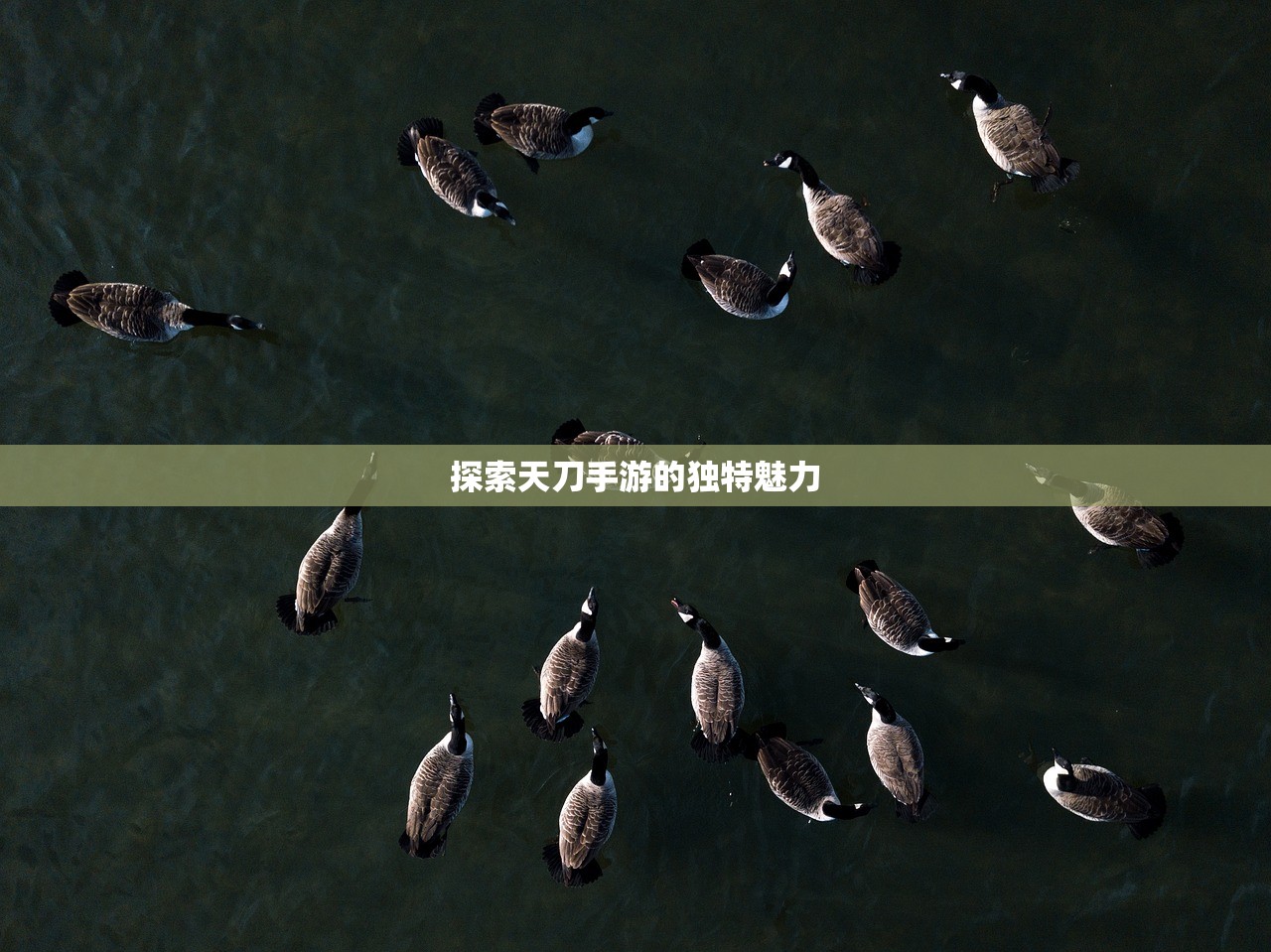 探索天刀手游的独特魅力