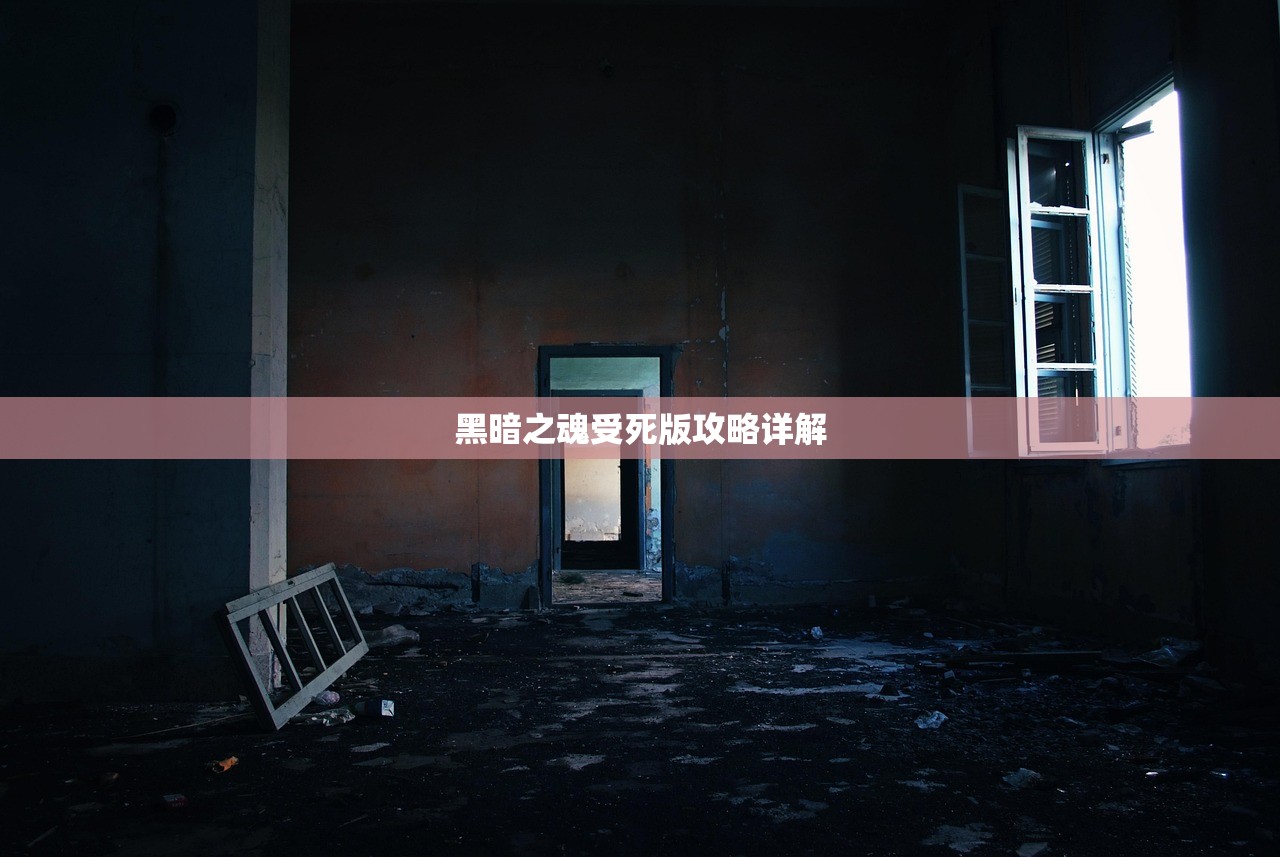黑暗之魂受死版攻略详解