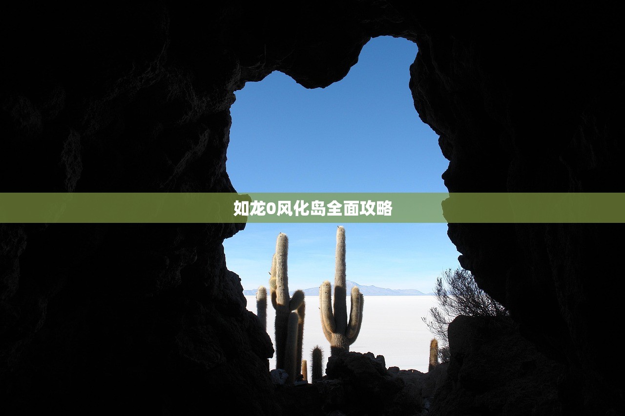 如龙0风化岛全面攻略