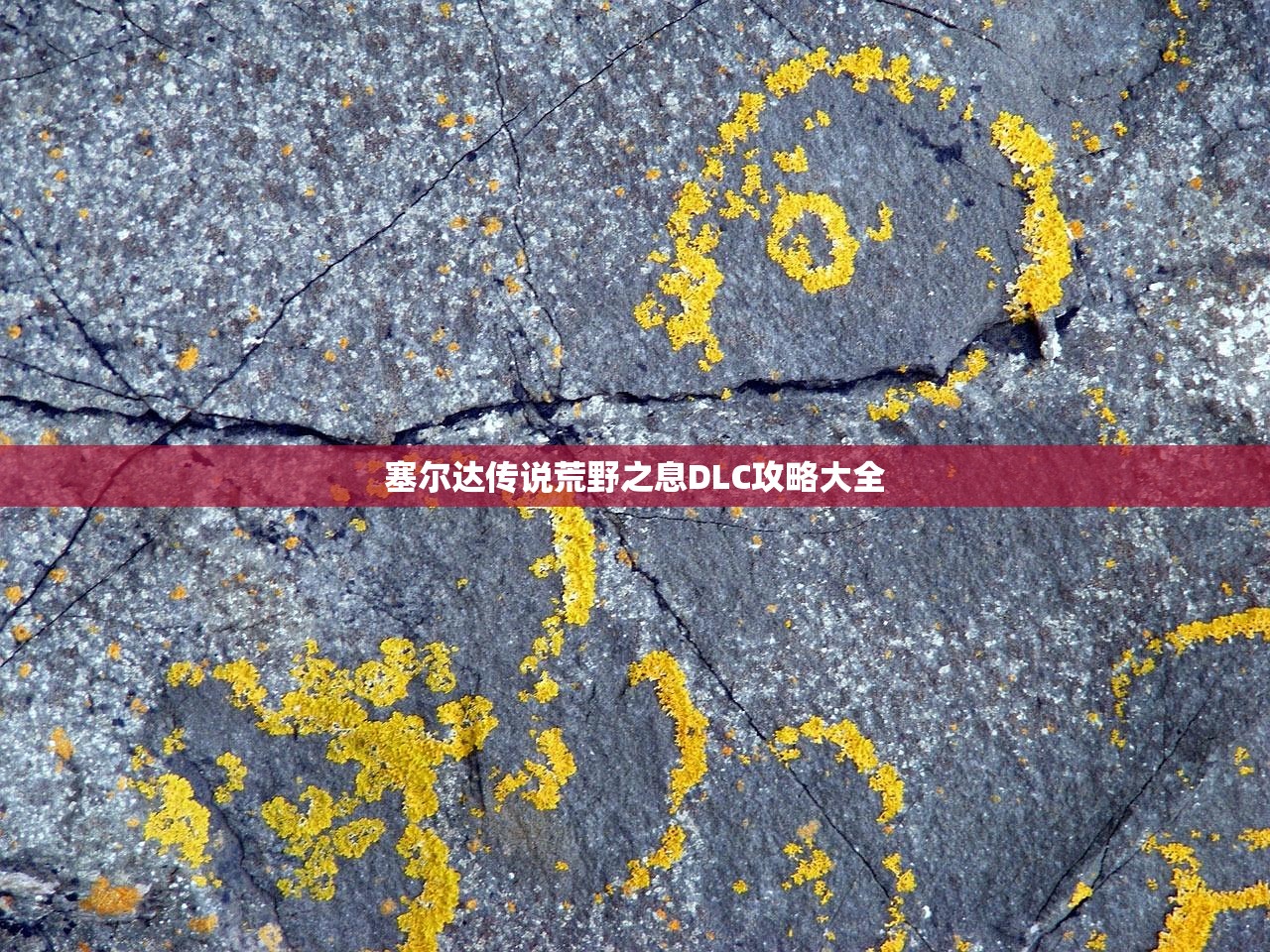 塞尔达传说荒野之息DLC攻略大全