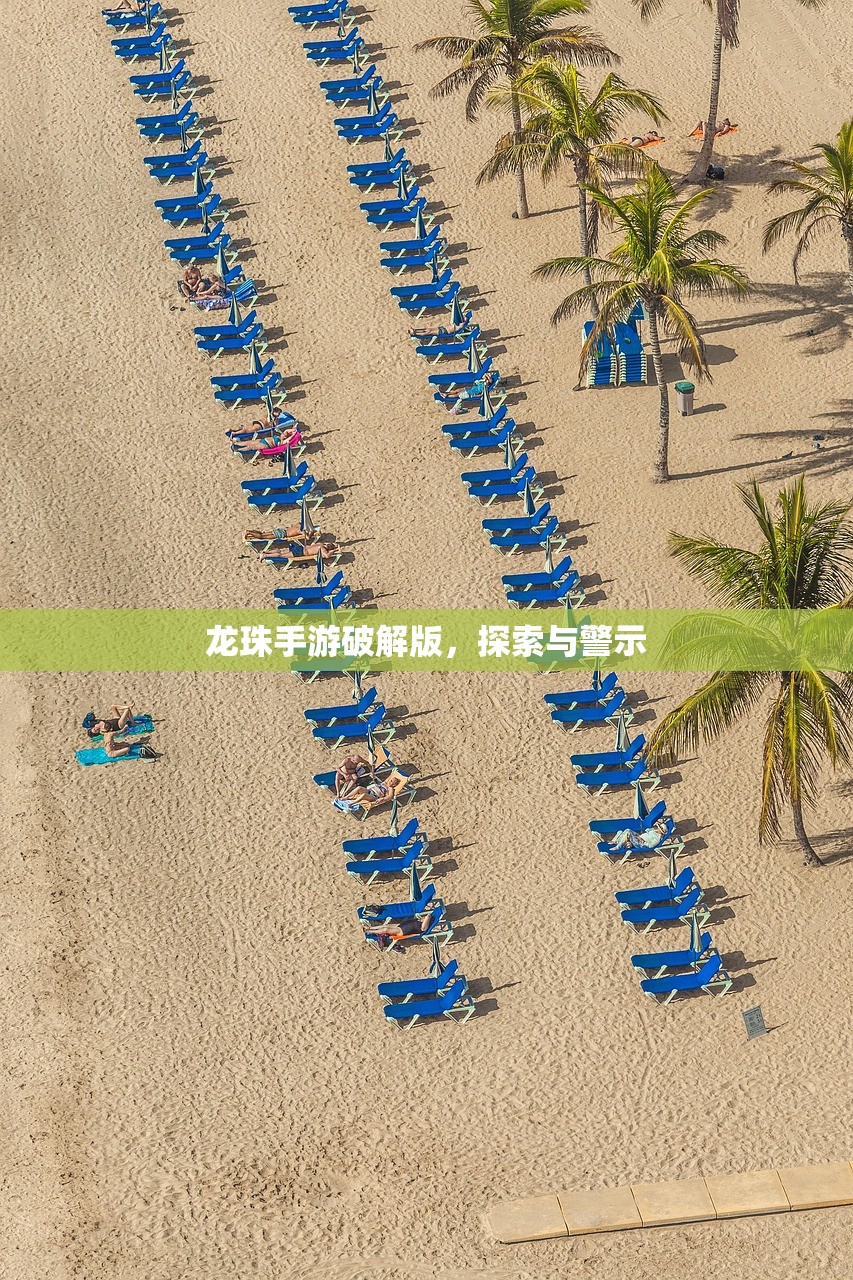 龙珠手游破解版，探索与警示