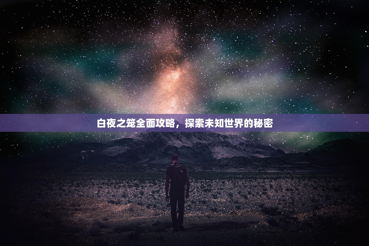 白夜之笼全面攻略，探索未知世界的秘密