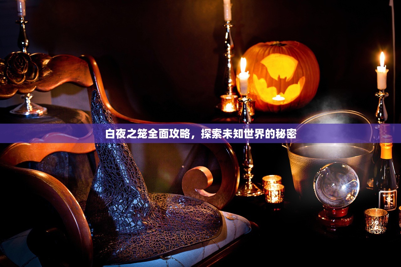 白夜之笼全面攻略，探索未知世界的秘密