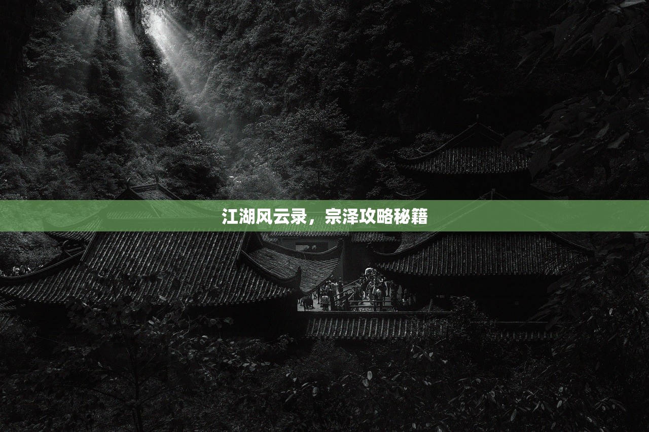 江湖风云录，宗泽攻略秘籍