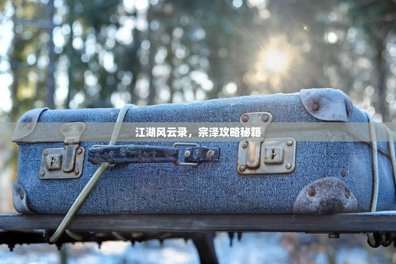 江湖风云录，宗泽攻略秘籍