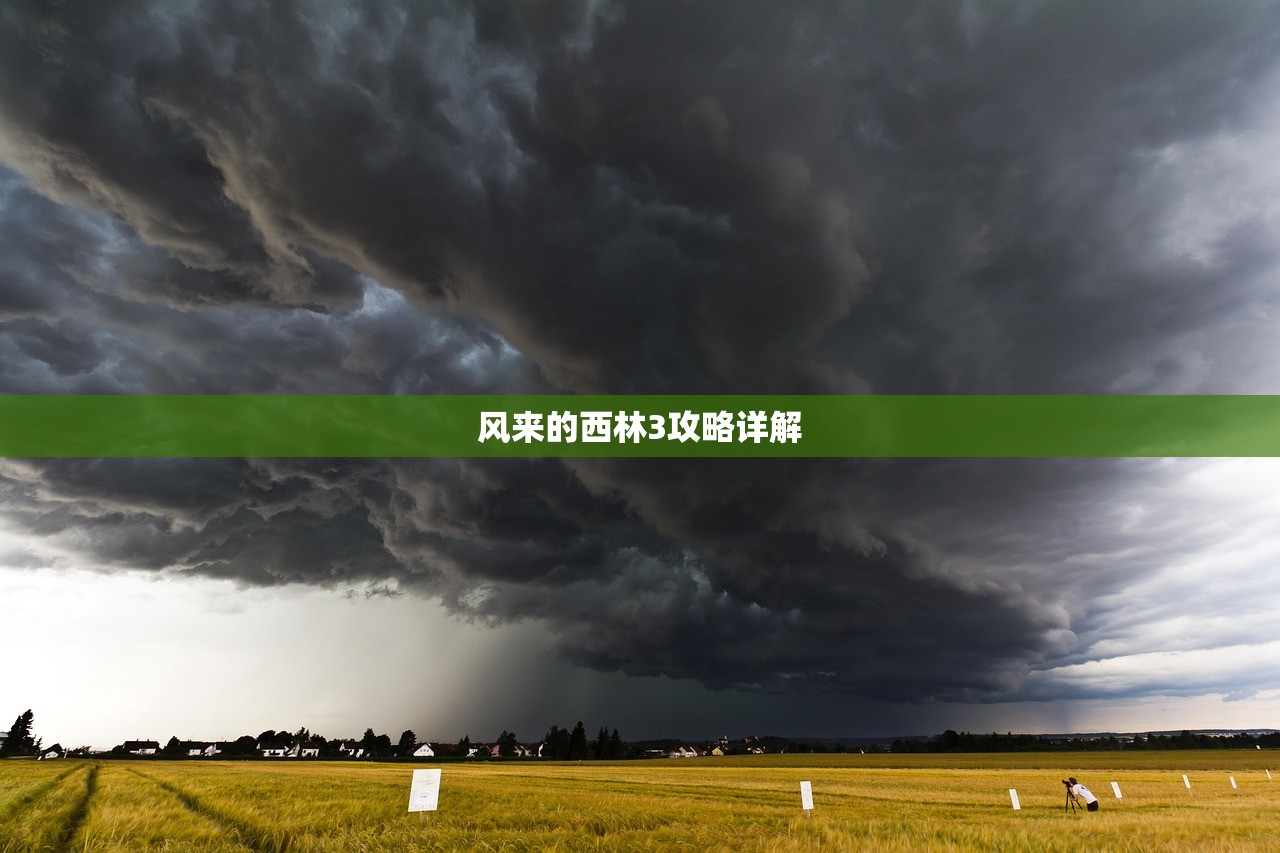 风来的西林3攻略详解