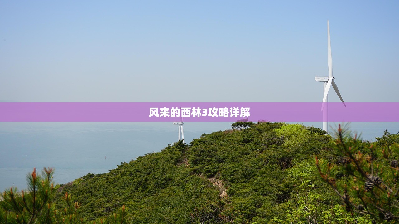 风来的西林3攻略详解