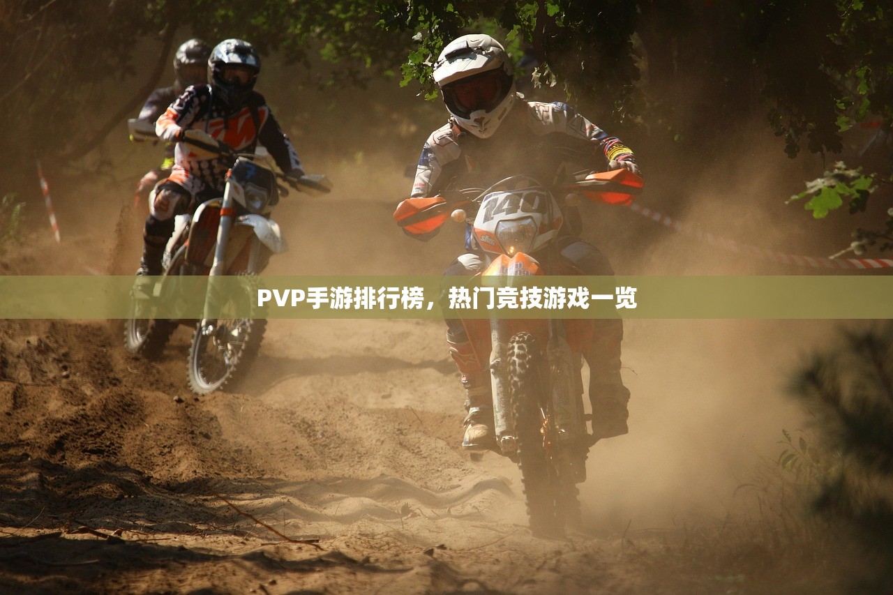 PVP手游排行榜，热门竞技游戏一览
